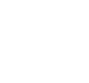 logo_w